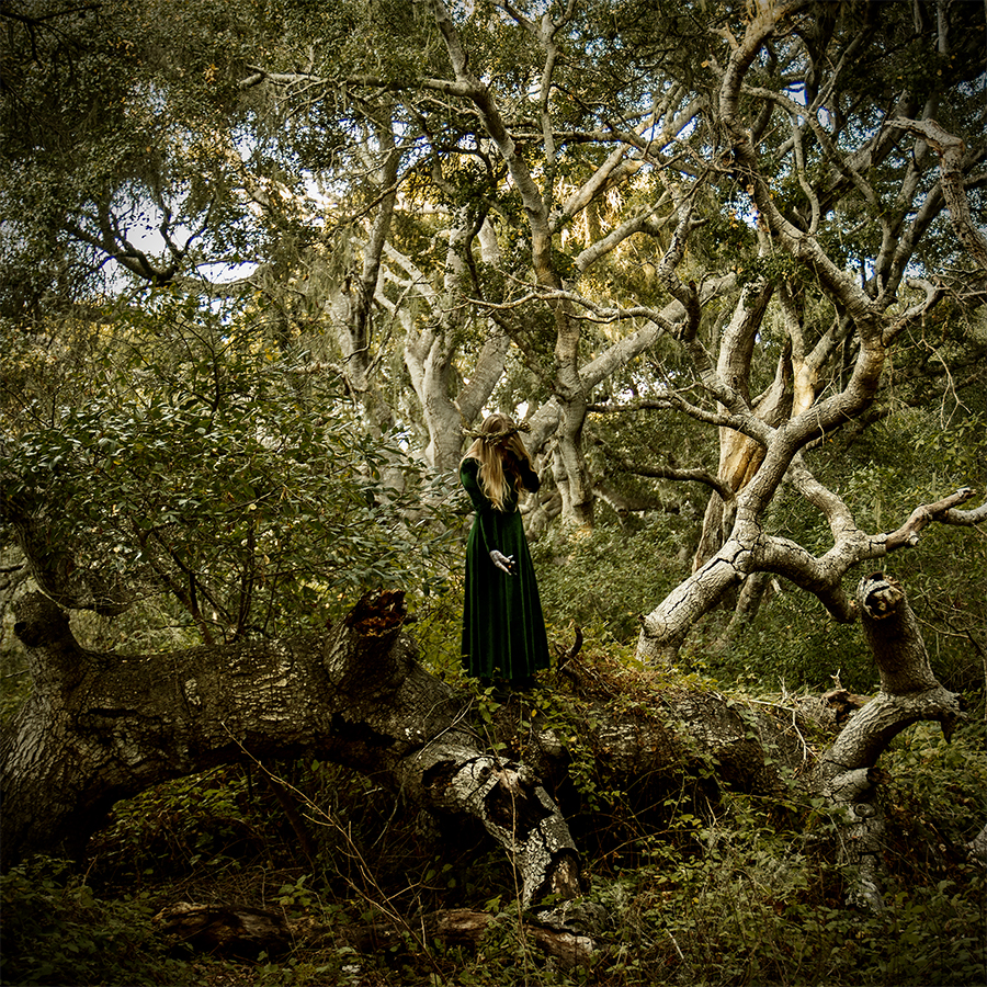 Nemorensis/Monvment insert, &quotThe Maiden" depicted by Katie Bailey, photography by Ian Thompson
